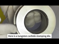 Zhuzhou Sanxin Cemented Carbide - kalıp